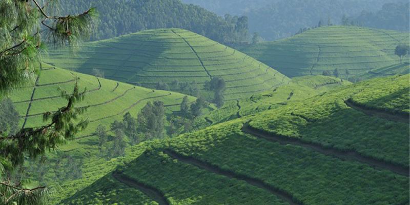 The Mombasa Port and Northern Corridor Community Charter